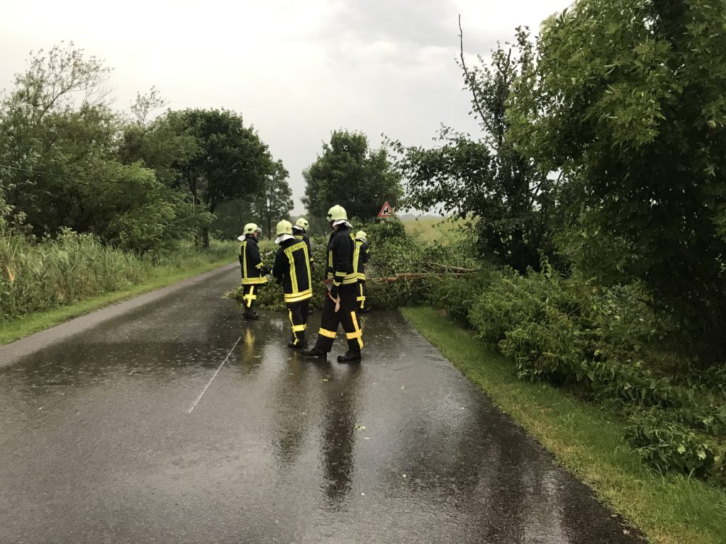 Einsatz 22.06.2017 Baum auf Straße