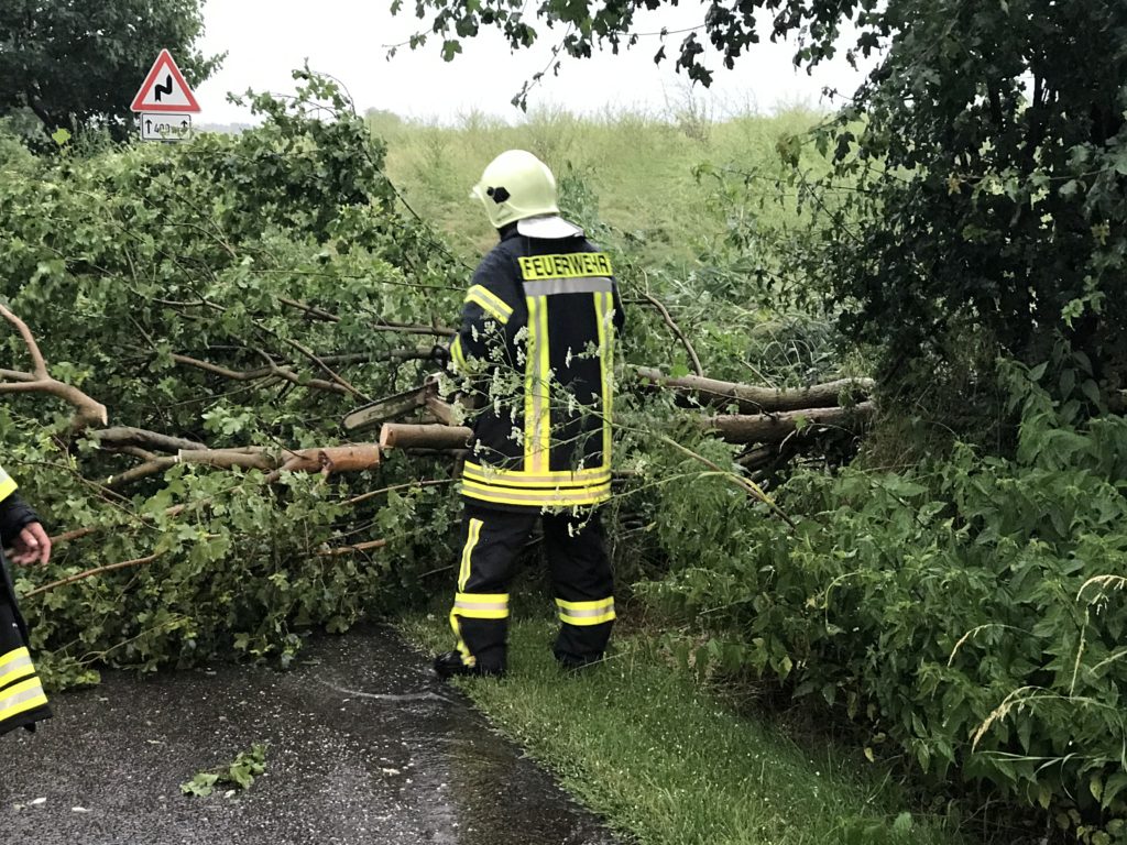 Einsatz 22.06.2017 Baum auf Straße