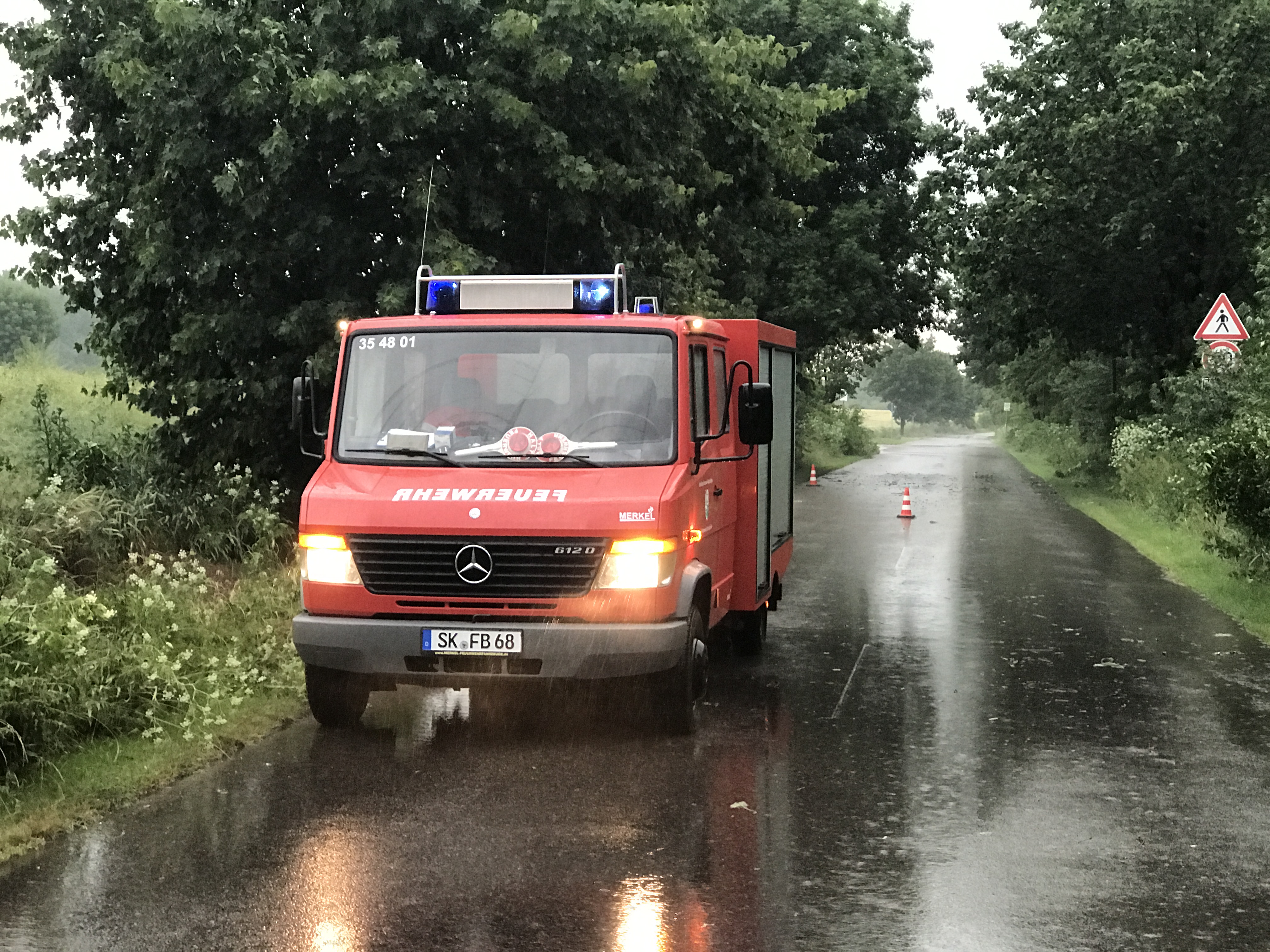 Einsatz 22.06.2017 Baum auf Straße