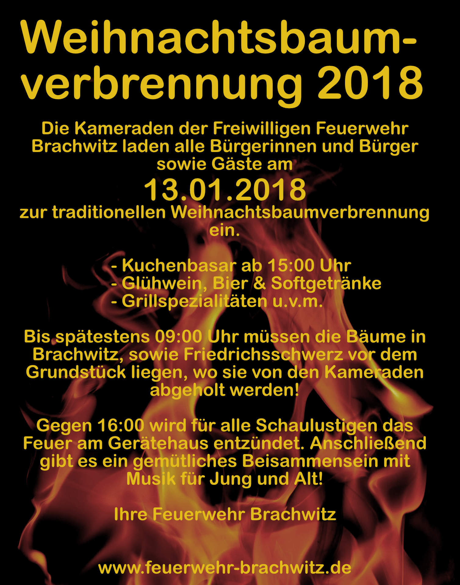 Weihnachtsbaumverbrennung 2018 Feuerwehr Brachwitz