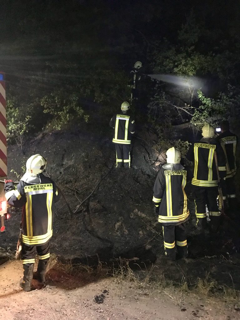 Einsatz 24-2018 Brand Radwanderweg- FF Brachwitz