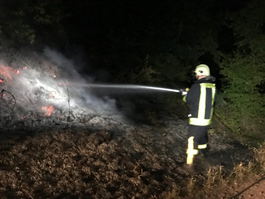 Einsatz 24-2018 Brand Radwanderweg- FF Brachwitz