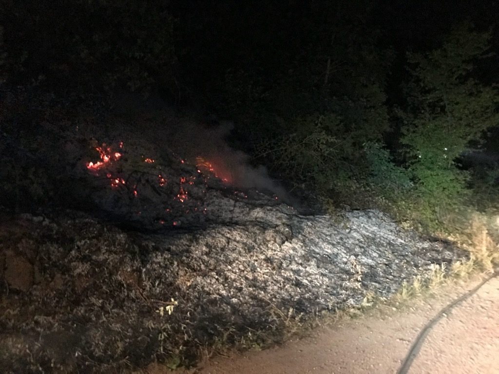 Einsatz 24-2018 Brand Radwanderweg- FF Brachwitz