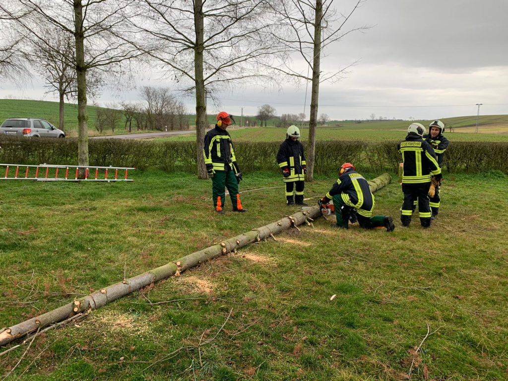 Ausbildung Brachwitz, Döblitz, Friedrichsschwerz und Gimritz 02-2020